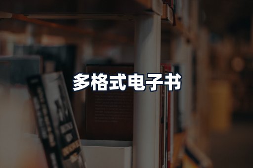 多格式电子书